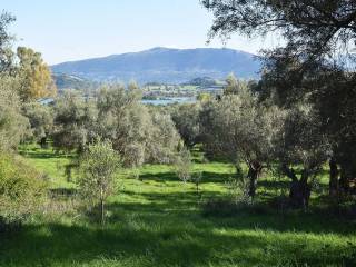 E thea pros te thalassa apo to agrotemachio