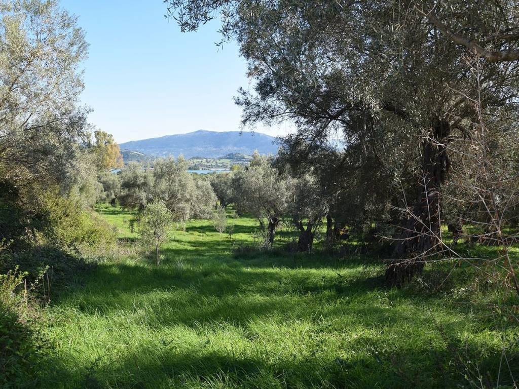 E thea pros te thalassa apo to agrotemachio