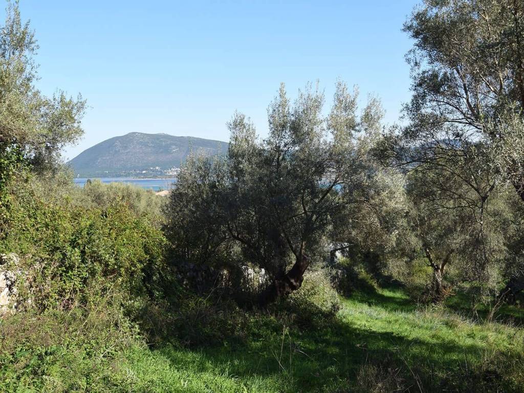 E thea pros te thalassa apo to agrotemachio