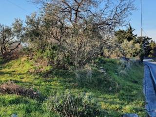 Πλάγια Όψη #1