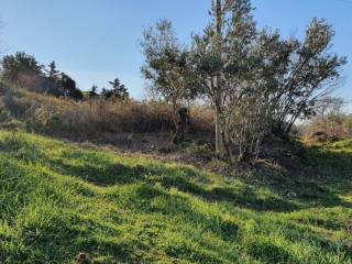 Άποψη χώρου #1