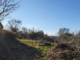 Άποψη χώρου #3