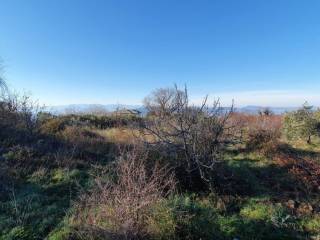 Άποψη χώρου #4