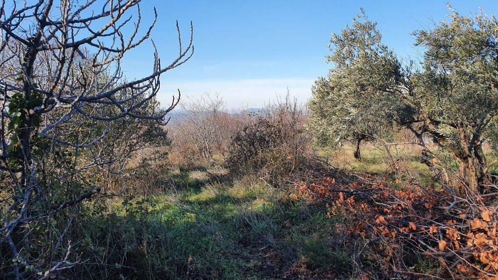 Άποψη χώρου #5