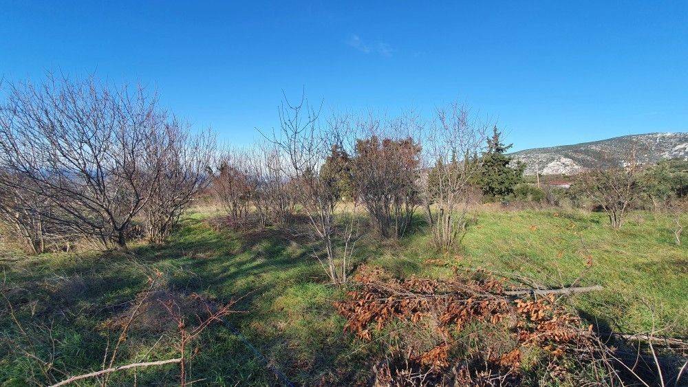 Άποψη χώρου #6