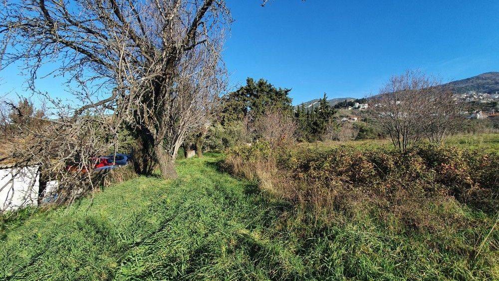 Άποψη χώρου #8