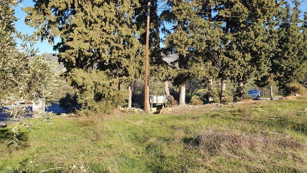 Άποψη χώρου #11