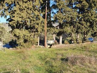 Άποψη χώρου #11