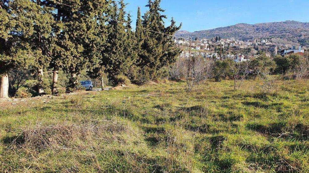 Άποψη χώρου #12