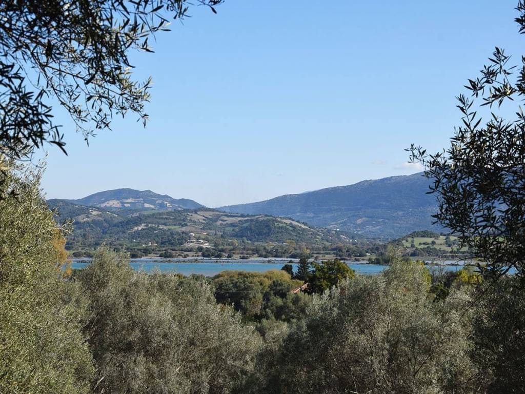 Η θέα προς τη θάλασσα από το αγροτεμάχιο