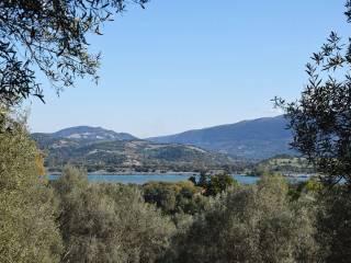 Η θέα προς τη θάλασσα από το αγροτεμάχιο