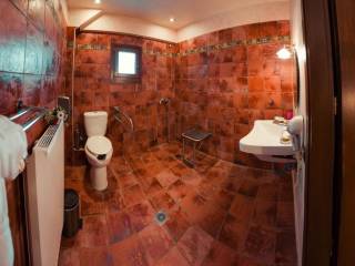 Μπάνιο ΑΜΕΑ