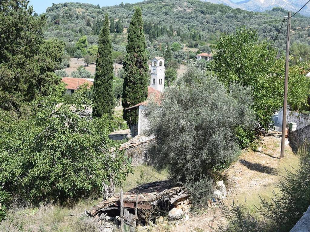 Το οικόπεδο