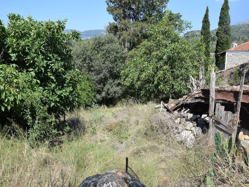 Το οικόπεδο