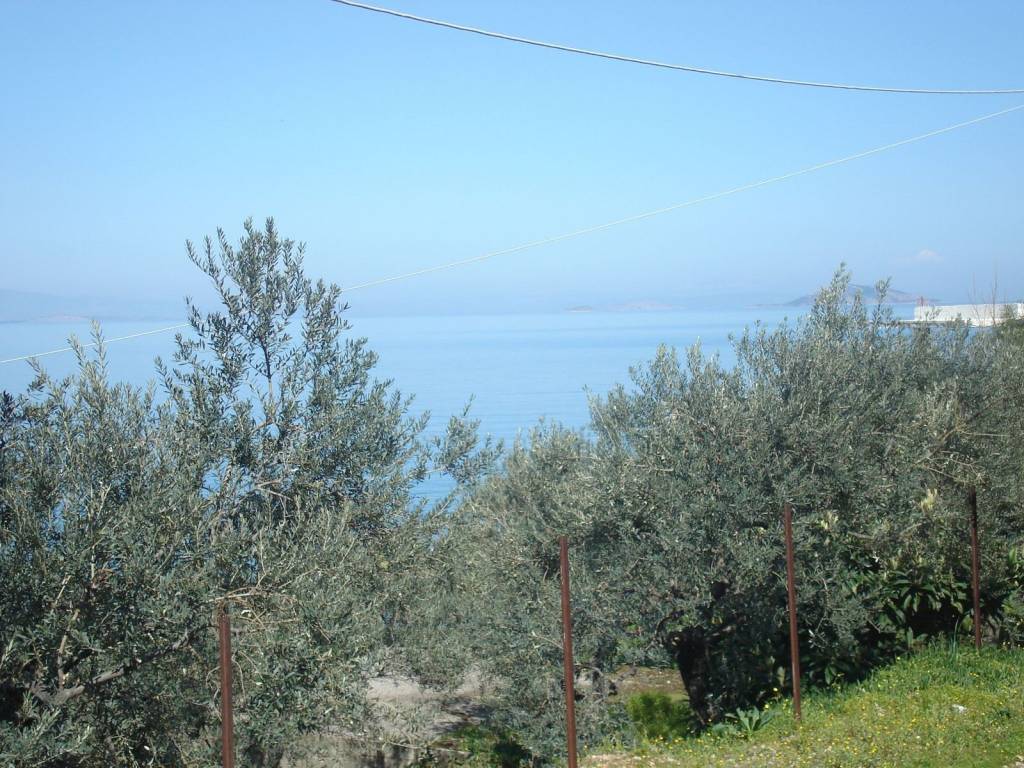 The property is a short distance from a private beach.