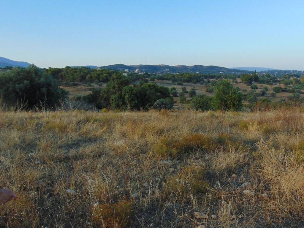 410 acres one-piece plot, 150 meters from famous beach,