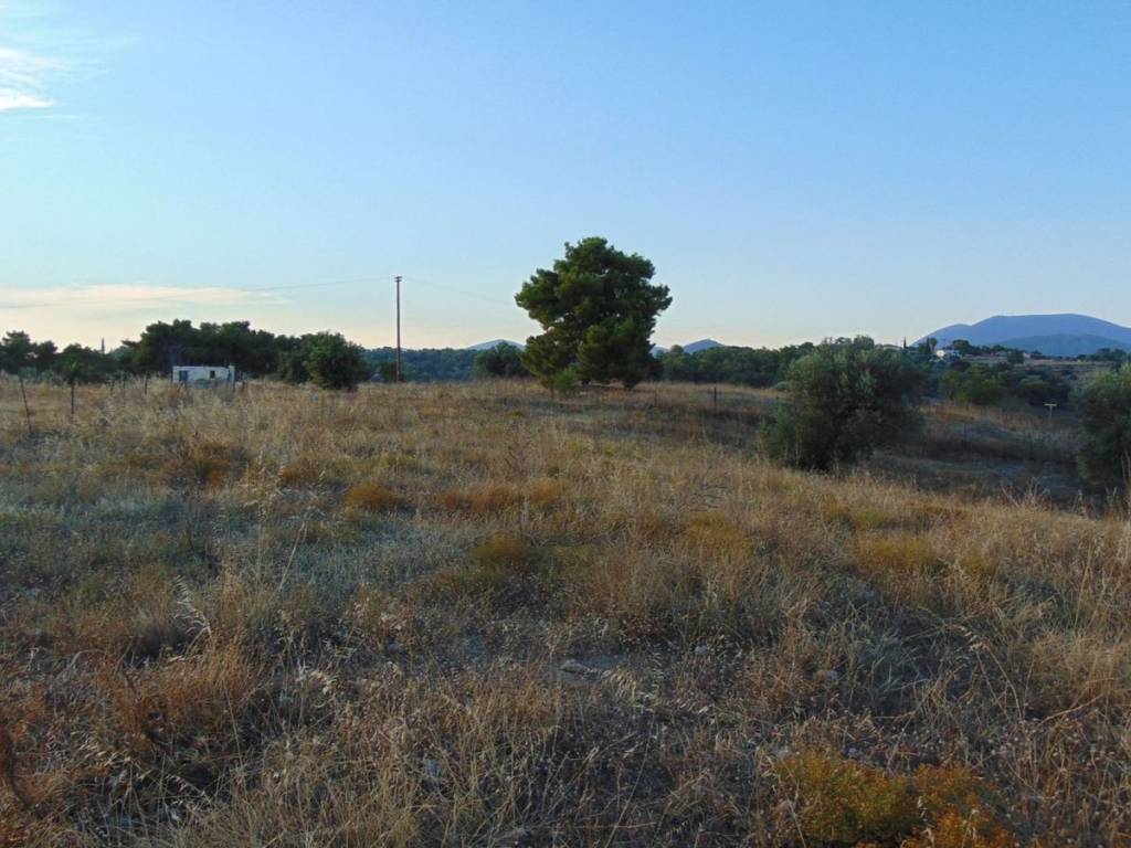 410 acres one-piece plot, 150 meters from famous 410 abeach,