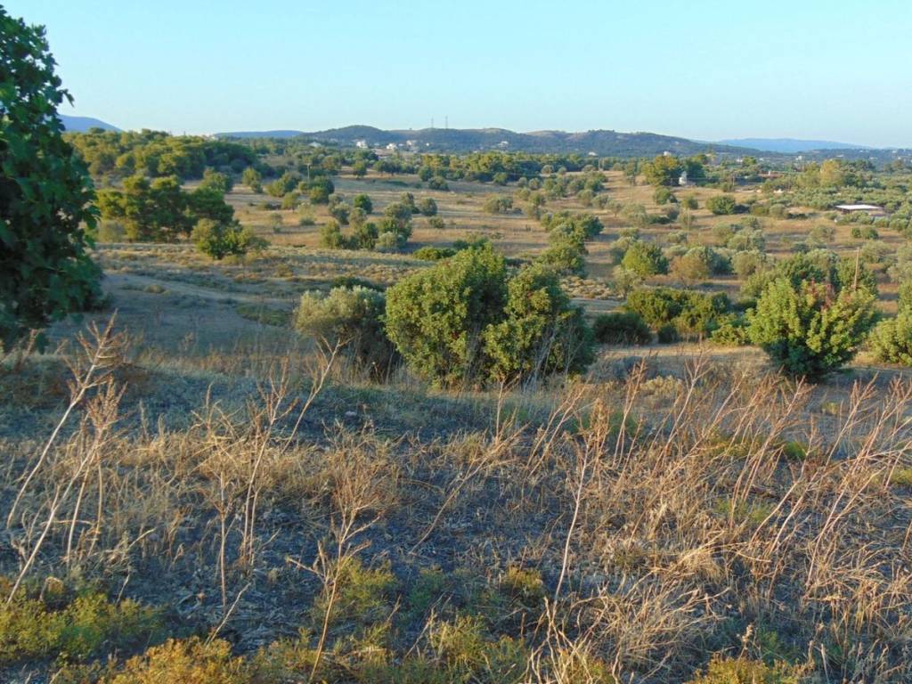 410 acres one-piece plot, 150 meters from famous beach,