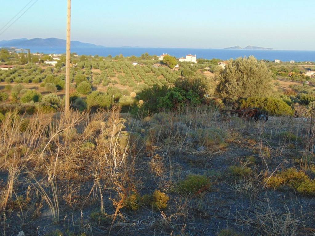 410 acres one-piece plot, 150 meters from famous beach,