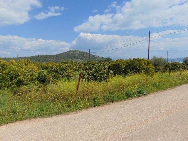 In the suburb of Nafplio are for sale land buildable 13,000