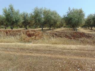 Land for sale of 10 acres with drilling
