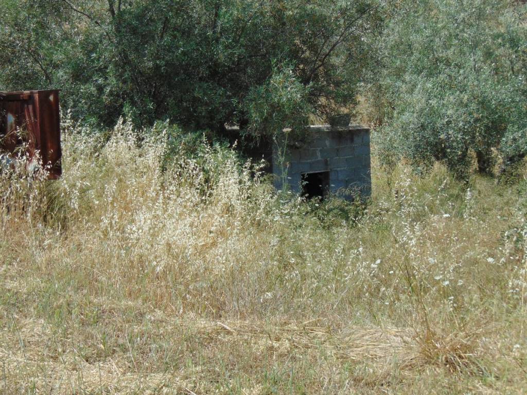 Land for sale of 10 acres with drilling