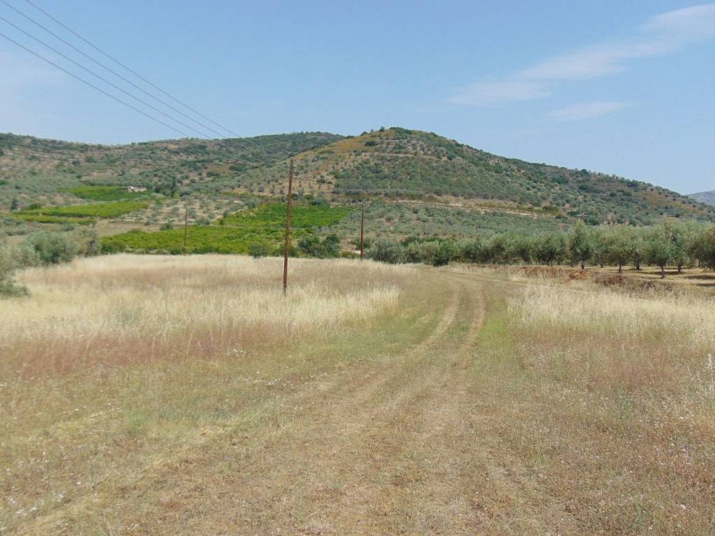 Land for sale of 10 acres with drilling
