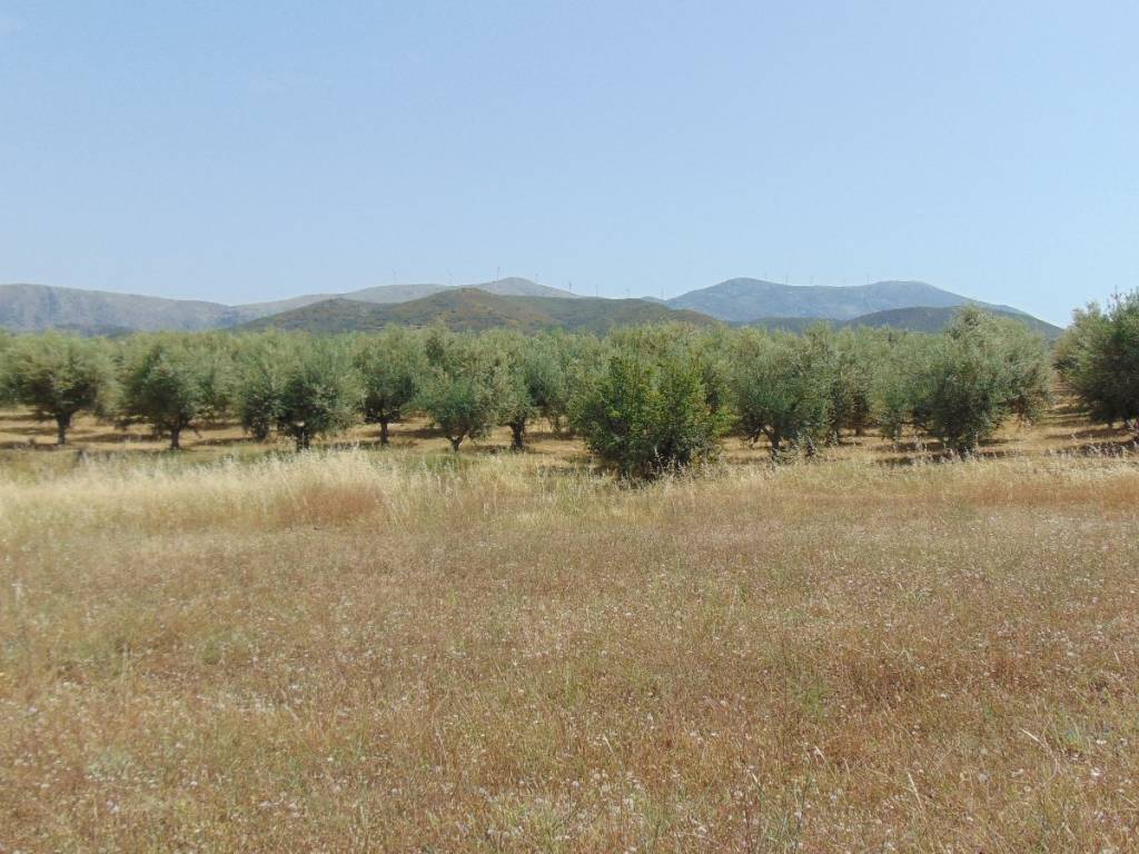 Land for sale of 10 acres with drilling