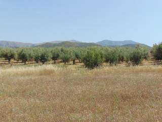 Land for sale of 10 acres with drilling