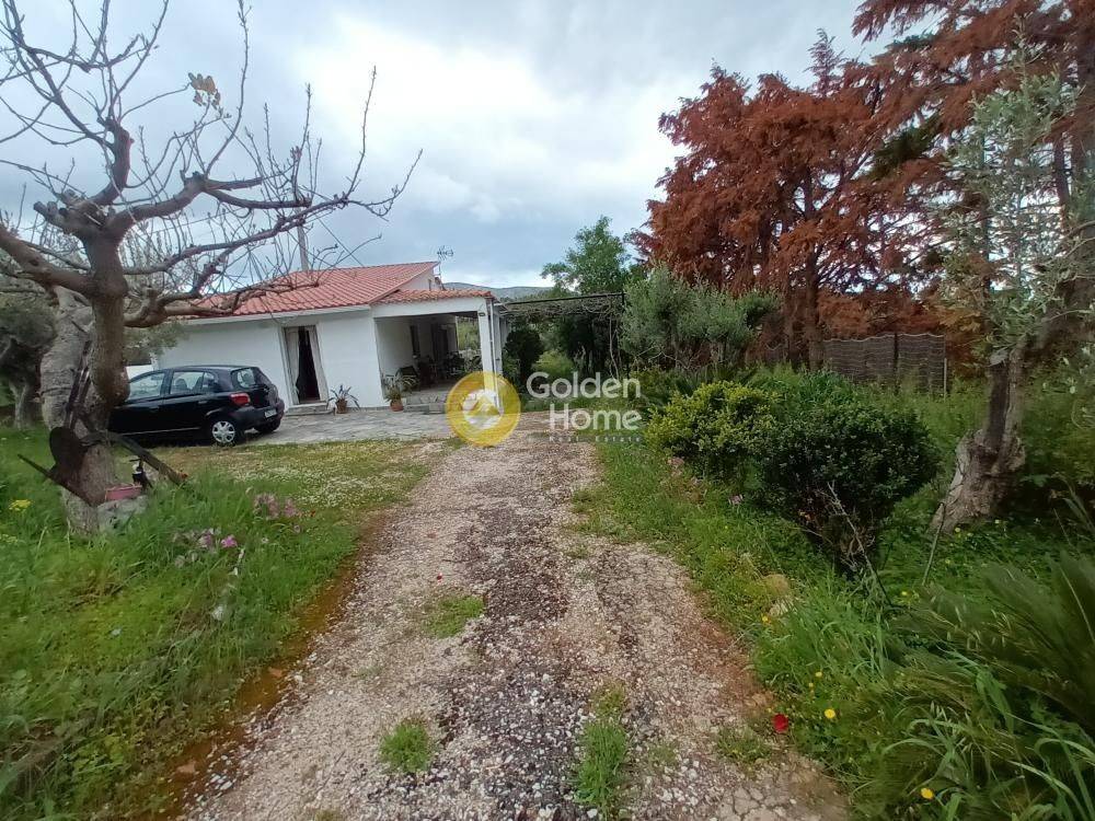 Εξωτερικός Χώρος