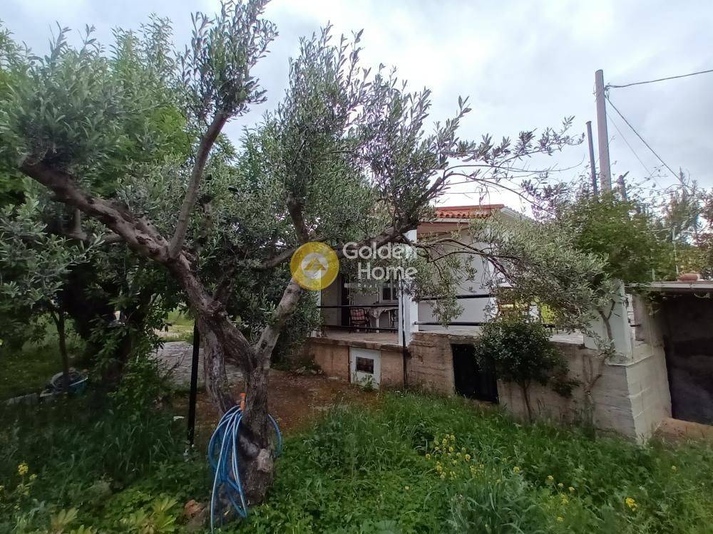 Εξωτερικός Χώρος