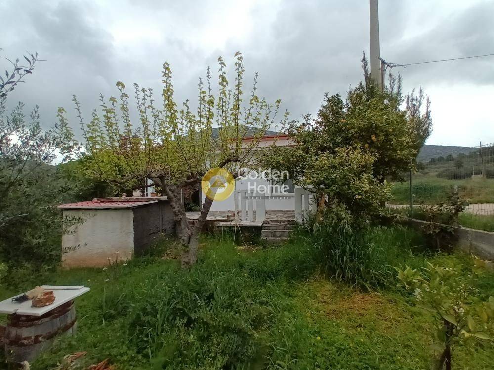 Εξωτερικός Χώρος