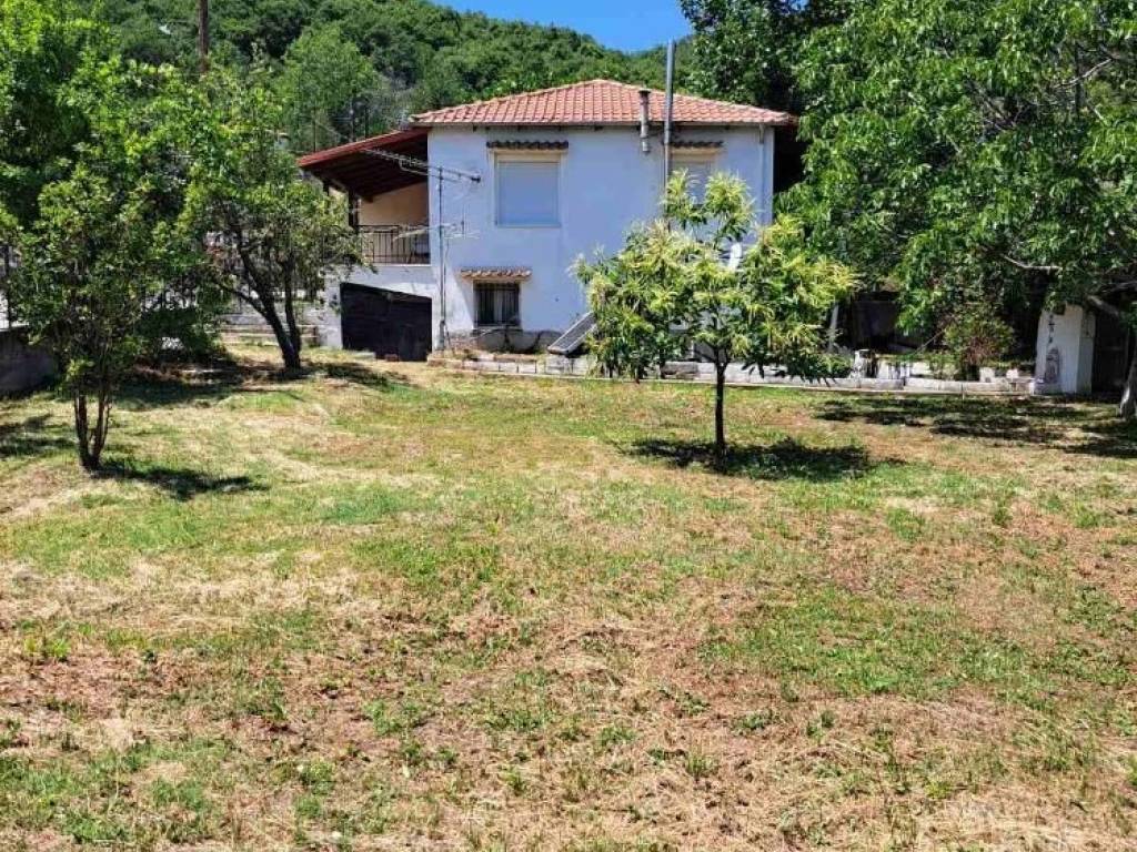 Άποψη εξωτερικού χώρου