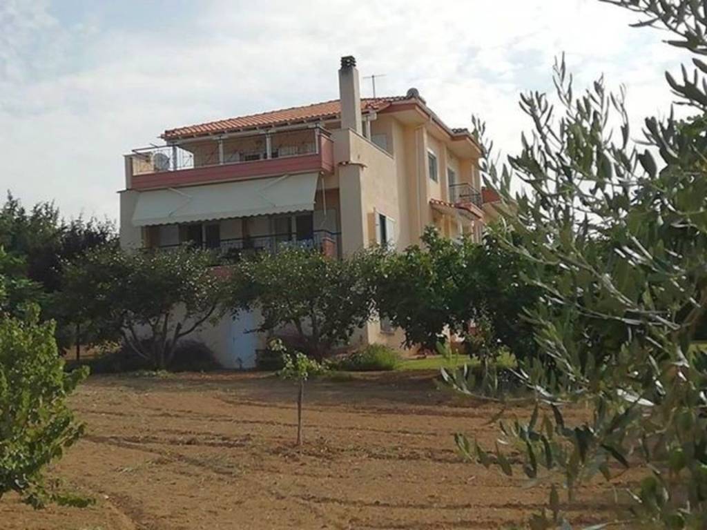 Πλάγια Όψη #1