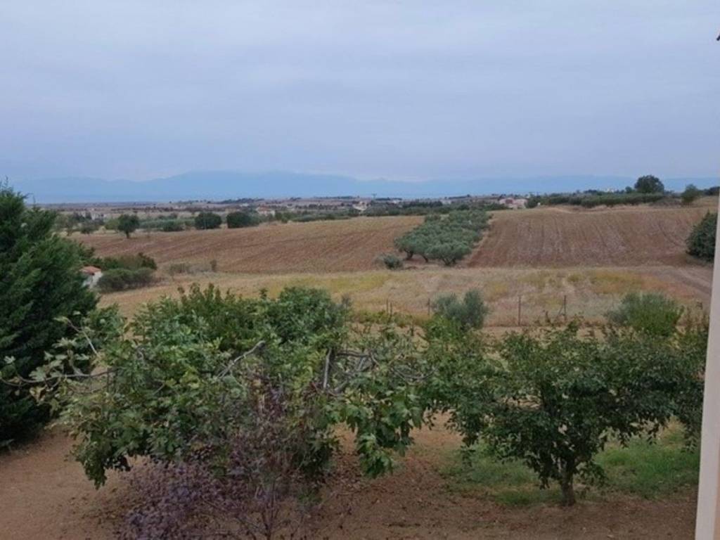 Θέα από μπαλκόνι #2