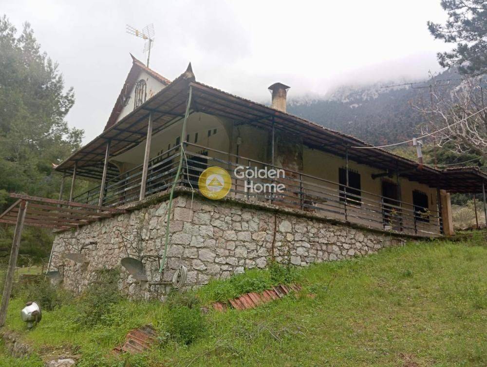 Ανελκυστήρας