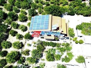 Ύπαρξη ανθρώπου