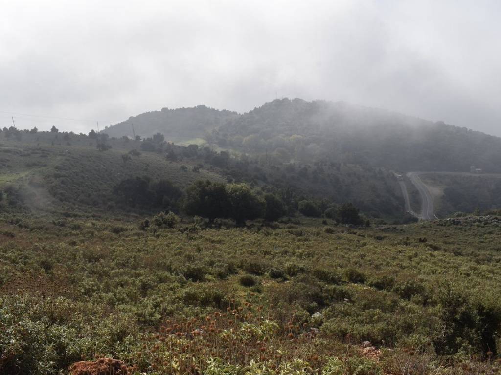 ΑΠΟΨΗ ΑΓΡΟΤΕΜΑΧΙΟΥ