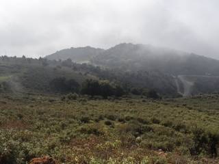 ΑΠΟΨΗ ΑΓΡΟΤΕΜΑΧΙΟΥ