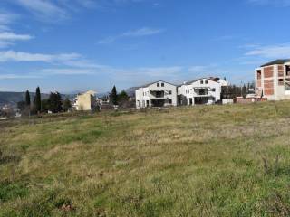 ΑΠΟΨΗ ΟΙΚΟΠΕΔΟΥ