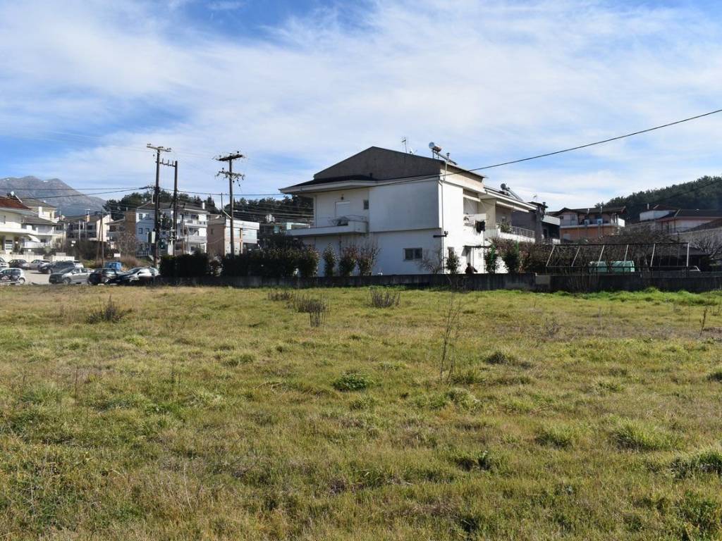 ΑΠΟΨΗ ΟΙΚΟΠΕΔΟΥ