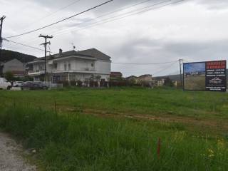 ΑΠΟΨΗ ΟΙΚΟΠΕΔΟΥ