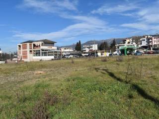 ΑΠΟΨΗ ΟΙΚΟΠΕΔΟΥ