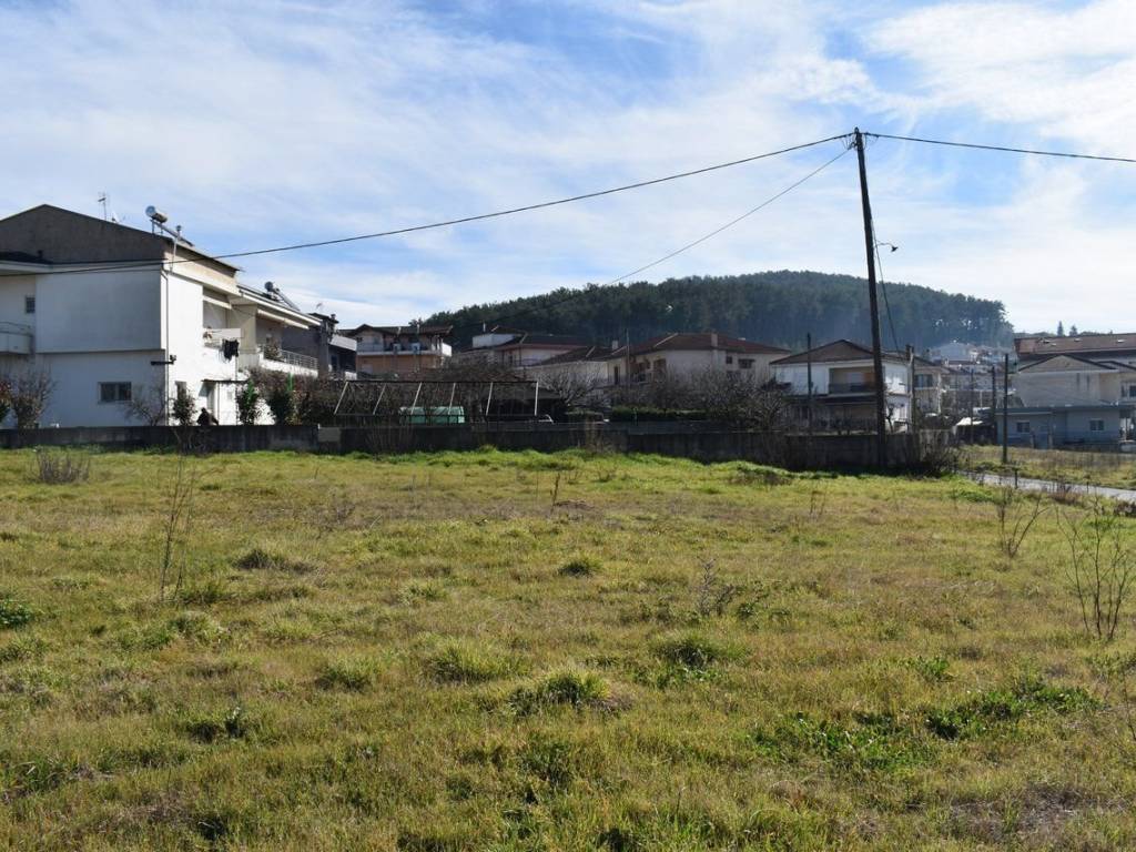 ΑΠΟΨΗ ΟΙΚΟΠΕΔΟΥ