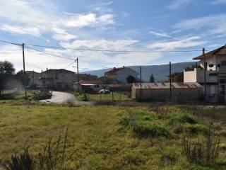 ΑΠΟΨΗ ΟΙΚΟΠΕΔΟΥ