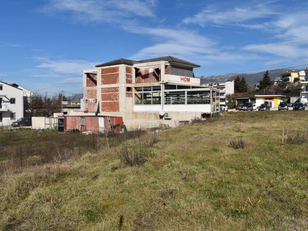 ΑΠΟΨΗ ΟΙΚΟΠΕΔΟΥ