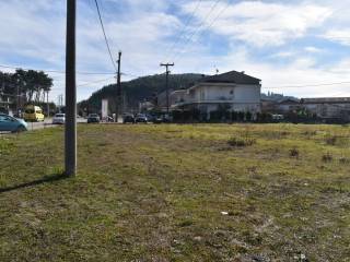 ΑΠΟΨΗ ΟΙΚΟΠΕΔΟΥ