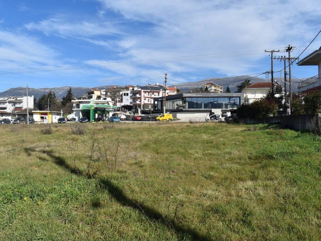 ΑΠΟΨΗ ΟΙΚΟΠΕΔΟΥ