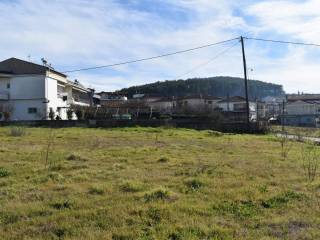 ΑΠΟΨΗ ΟΙΚΟΠΕΔΟΥ