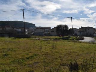 ΑΠΟΨΗ ΟΙΚΟΠΕΔΟΥ